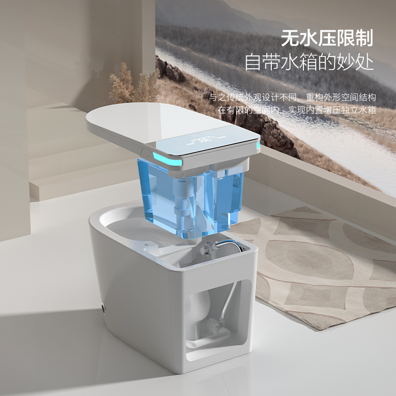 日本帕伊家用大尺寸智能马桶一体式坐便器全自动无水压限制大冲力