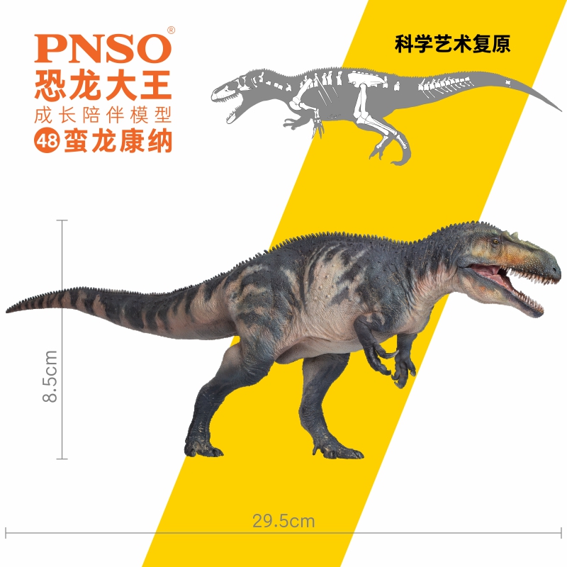 PNSO恐龙大王蛮龙康纳成长陪伴模型侏罗纪仿真古生物儿童成人玩具