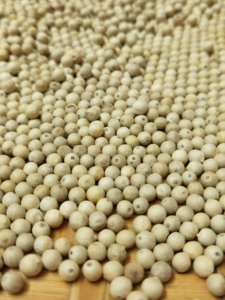 喜土正宗海南特选精品白胡椒粒500g农家特产新货家用商用调料颗粒